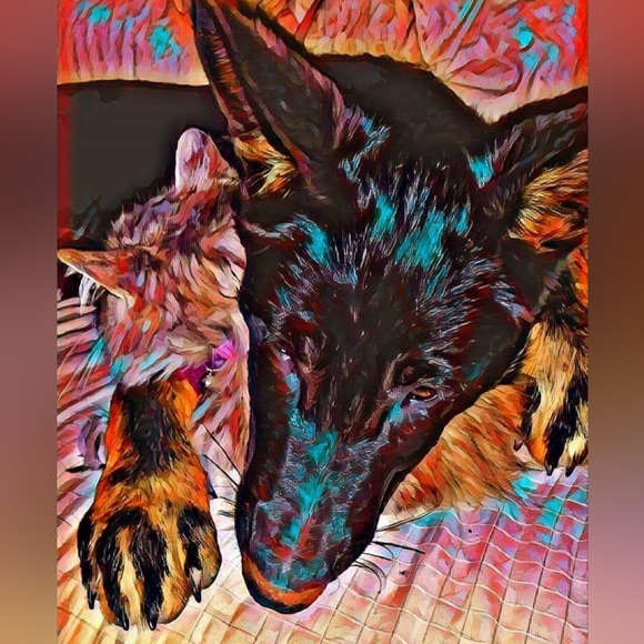 Meet your Posher, Jennifer - Picture 4 of 16